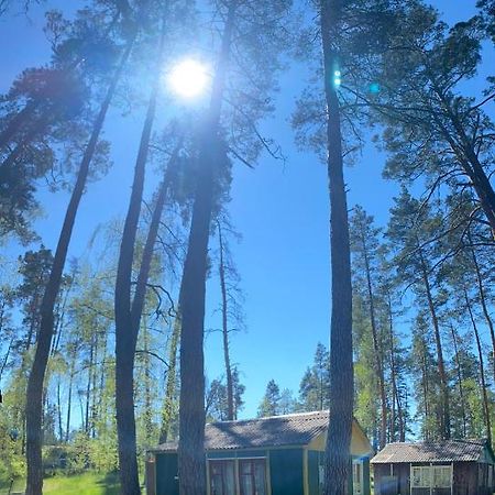 Hotel Baza Vidpochinku Energia Rudnya Peskovskaya Exterior foto