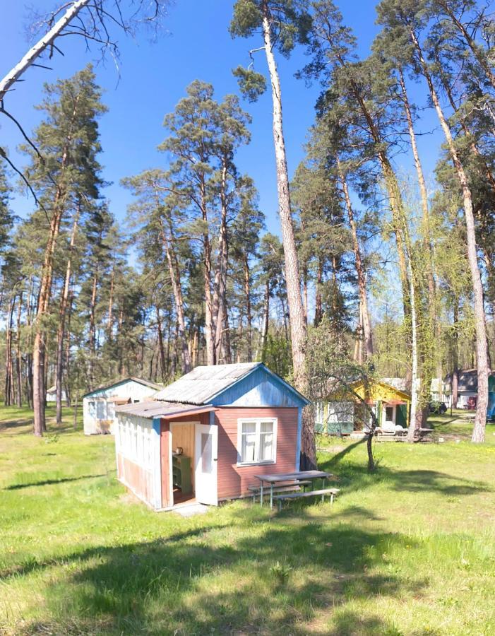 Hotel Baza Vidpochinku Energia Rudnya Peskovskaya Exterior foto