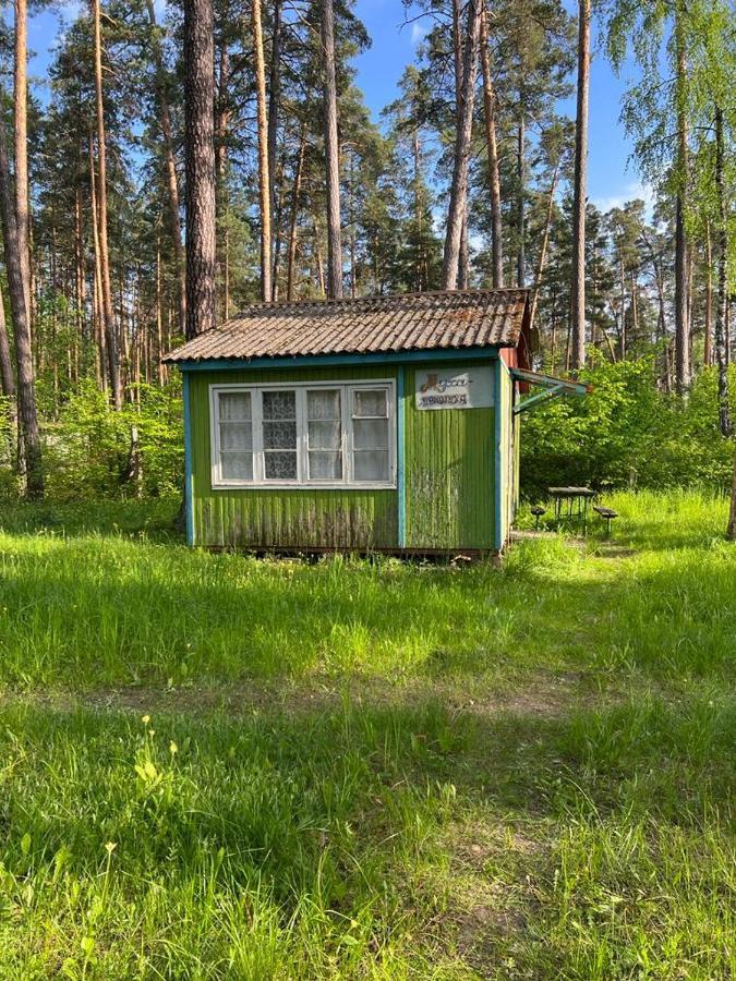 Hotel Baza Vidpochinku Energia Rudnya Peskovskaya Exterior foto